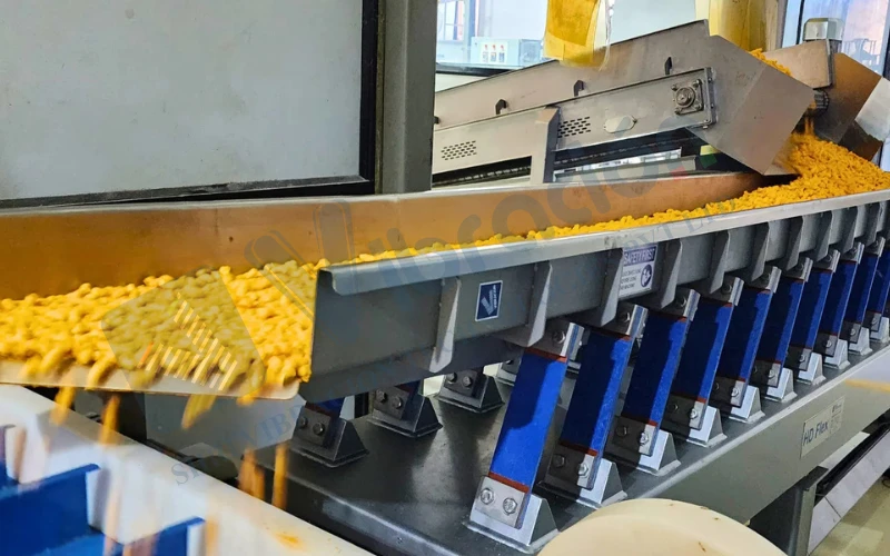 Electromagnetic Conveyors_ Which is Right for You_Shri Vibracion